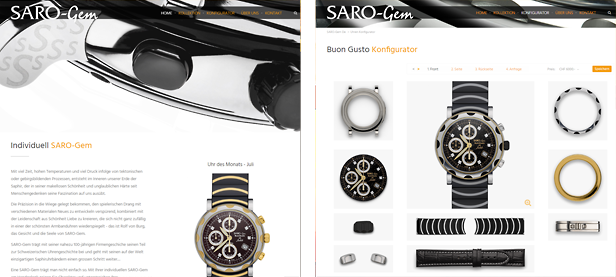 saro-gem.ch - Netwalk Referenz