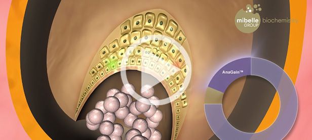 Mibelle Biochemistry AnaGain- Netwalk Referenz
